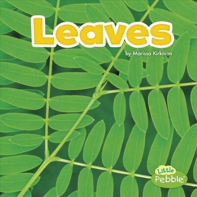 Leaves (Hardcover)