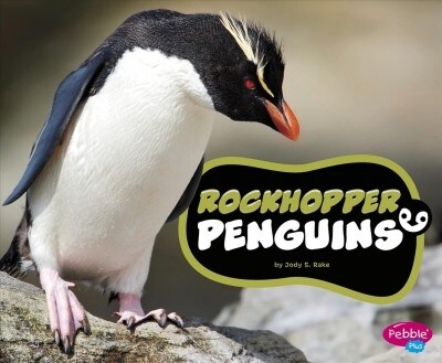 Rockhopper Penguins (Hardcover)