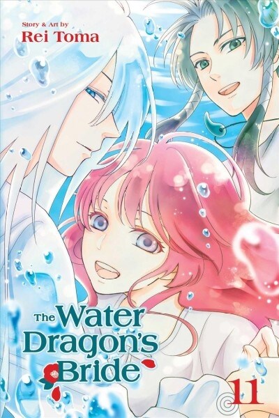 The Water Dragons Bride, Vol. 11 (Paperback)