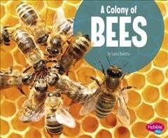 A Colony of Bees (Hardcover)