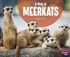 A Mob of Meerkats (Hardcover)