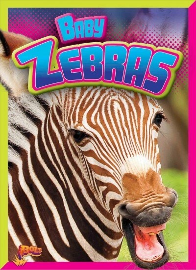 Baby Zebras (Paperback)