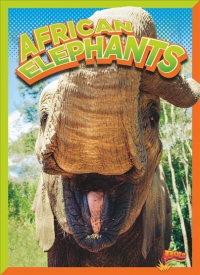 African Elephants (Paperback)
