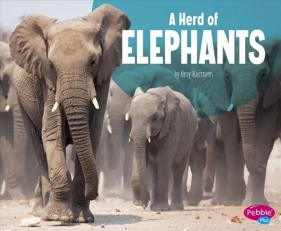 A Herd of Elephants (Hardcover)