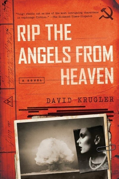 Rip the Angels from Heaven (Paperback)