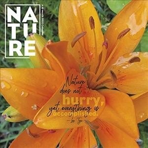 Nature Typography 2020 Calendar (Calendar, Wall)