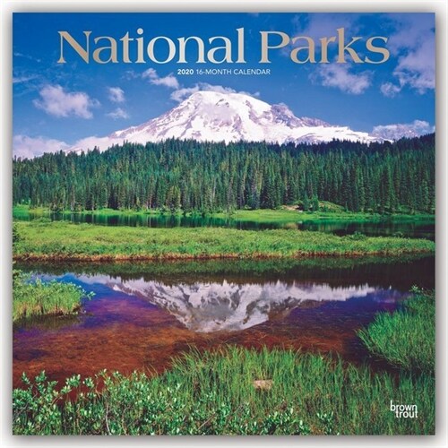 National Parks 2020 Square Foil (Other)