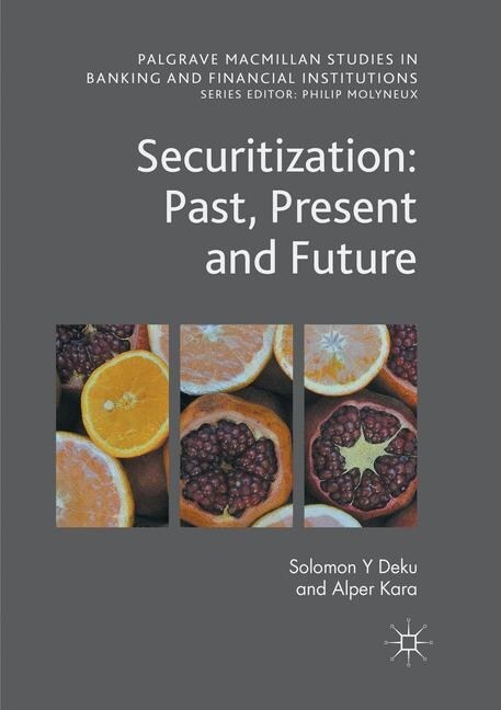Securitization: Past, Present and Future (Paperback, Softcover Repri)