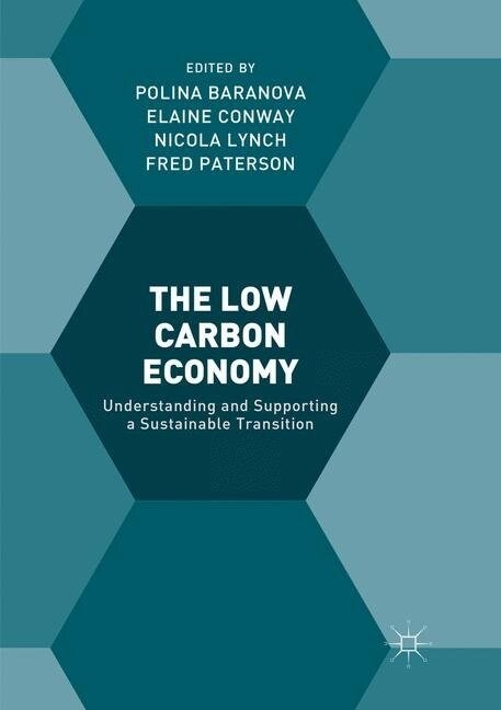 The Low Carbon Economy: Understanding and Supporting a Sustainable Transition (Paperback, Softcover Repri)