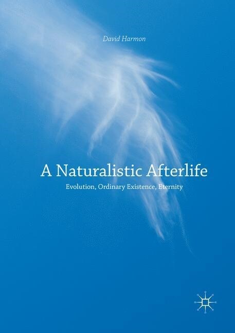 A Naturalistic Afterlife: Evolution, Ordinary Existence, Eternity (Paperback, Softcover Repri)