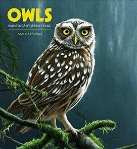 Owls : Paintings by Jeremy Paul 2020 Wall (Calendar)