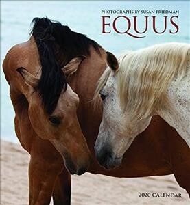 Equus : Photographs by Susan Friedman 2020 Wall (Calendar)