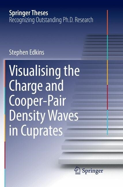 Visualising the Charge and Cooper-Pair Density Waves in Cuprates (Paperback, Softcover Repri)