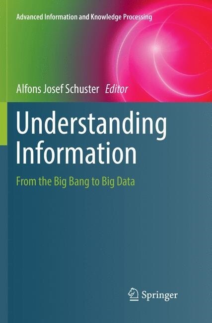 Understanding Information: From the Big Bang to Big Data (Paperback, Softcover Repri)