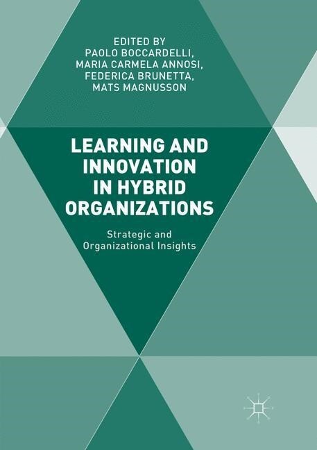 Learning and Innovation in Hybrid Organizations: Strategic and Organizational Insights (Paperback, Softcover Repri)