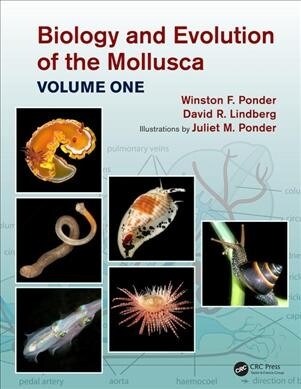 Biology and Evolution of the Mollusca, Volume 1 (Hardcover, 1)