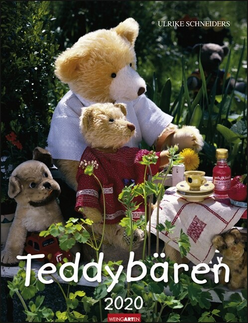 Teddybaren Kalender 2020 (Calendar)