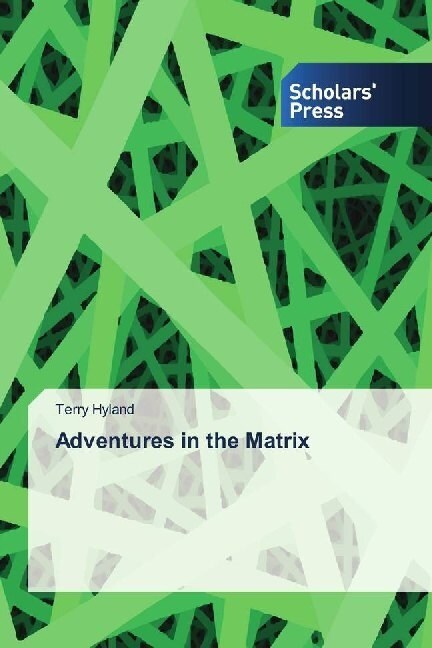 Adventures in the Matrix (Paperback)