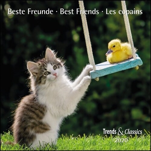 Beste Freunde Best Friends 2020 (Calendar)