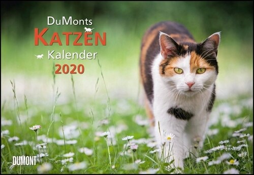 DuMonts Katzenkalender 2020 (Calendar)