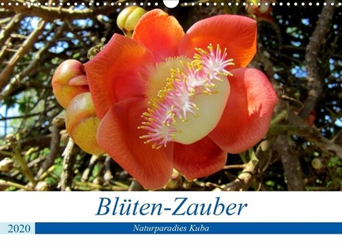 Bluten-Zauber - Naturparadies Kuba (Wandkalender 2020 DIN A3 quer) (Calendar)