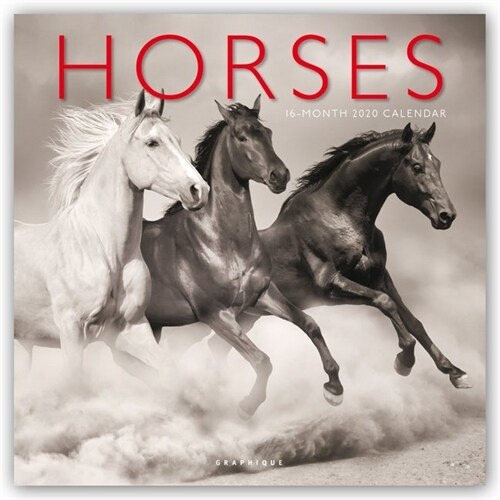 Horses - Pferde 2020 - 16-Monatskalender (Calendar)