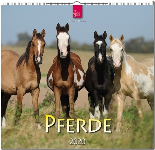 Pferde (Calendar)