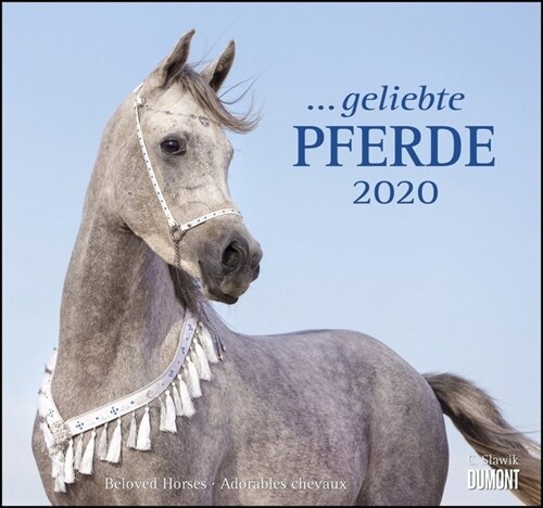 ... geliebte Pferde 2020 (Calendar)