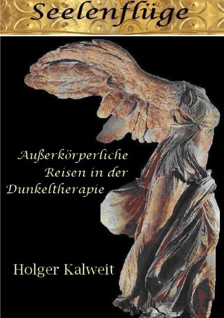 Seelenfluge (Paperback)