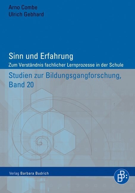 Sinn und Erfahrung (Paperback)