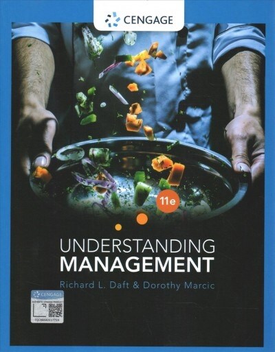 Understanding Management (Paperback)