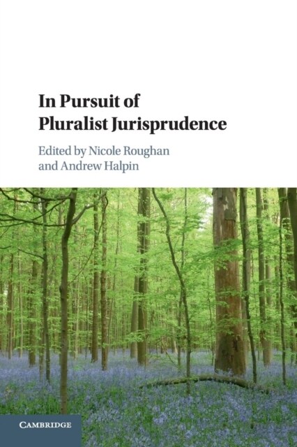 In Pursuit of Pluralist Jurisprudence (Paperback)