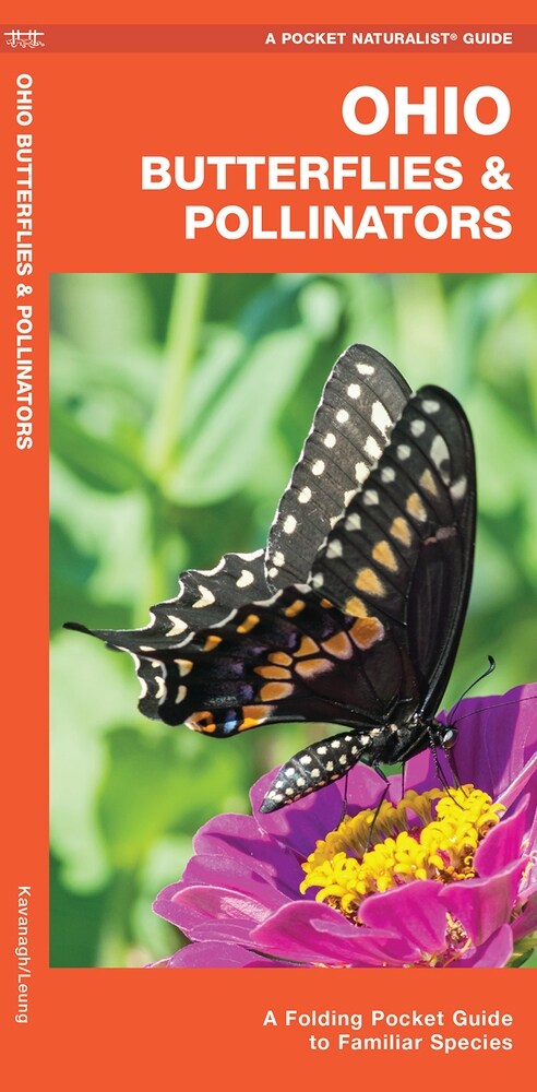 Ohio Butterflies & Pollinators: A Folding Pocket Guide to Familiar Species (Other, 2, Updated)