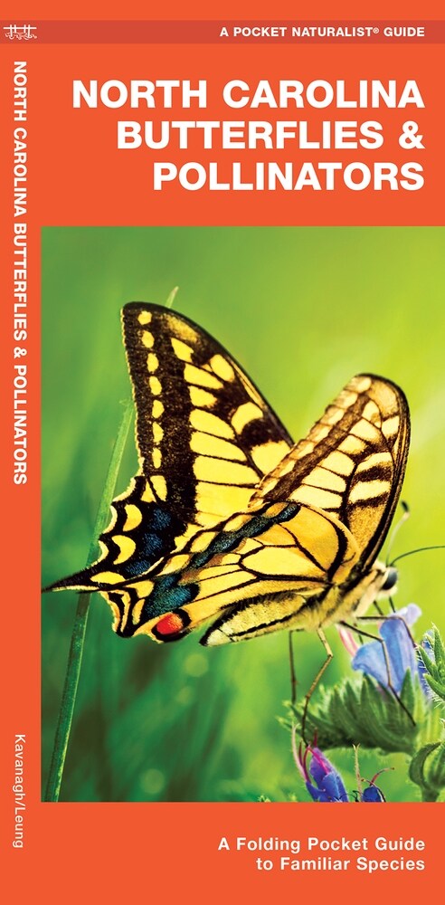 North Carolina Butterflies & Pollinators: A Folding Pocket Guide to Familiar Species (Other, 2, Updated)
