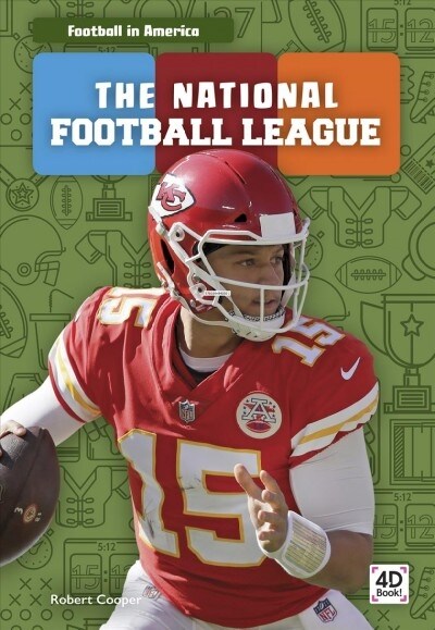 The National Football League (Paperback)
