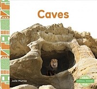 Caves (Paperback)