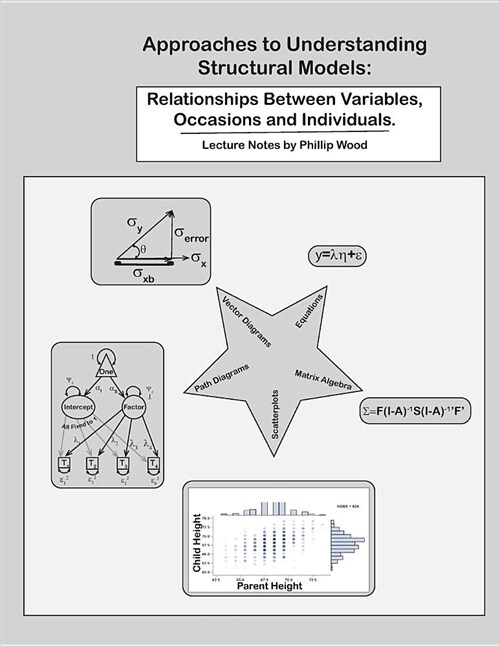 Approaches to Understanding Structural Models: Models of Relationships Between Variables, Occasions, and People (Paperback)