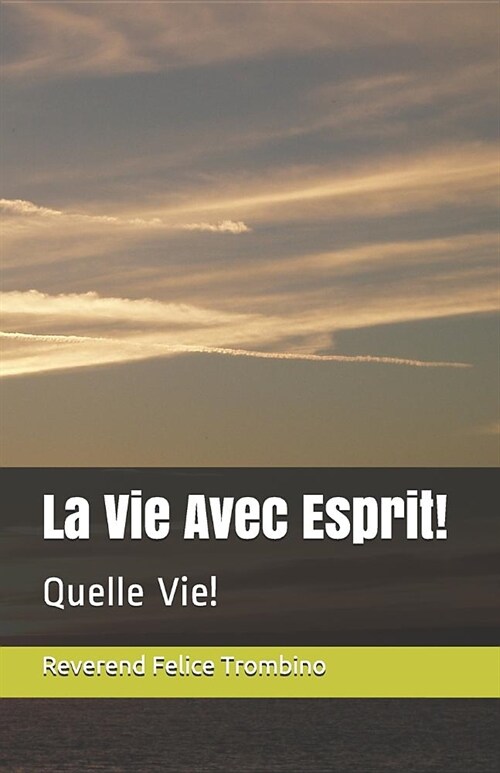 La Vie Avec Esprit!: Quelle Vie! (Paperback)