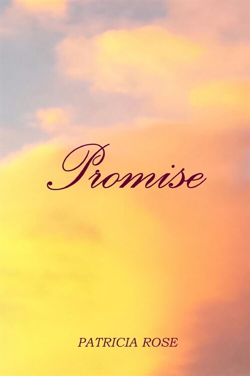 Promise (Paperback)