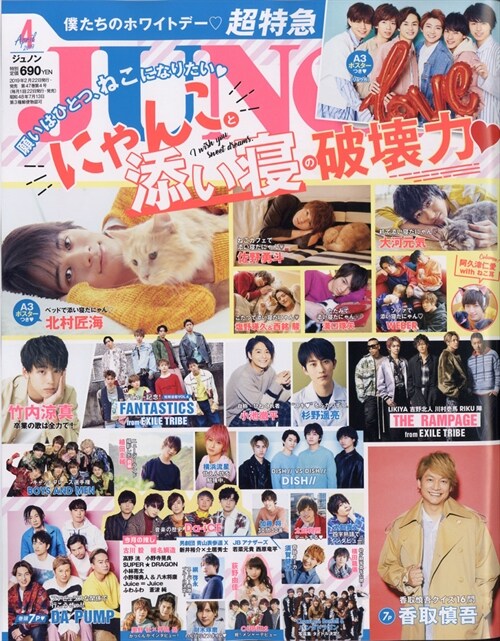 JUNON (ジュノン) 2019年 04月號 [雜誌]