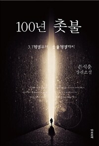100년 촛불 :손석춘 장편소설 