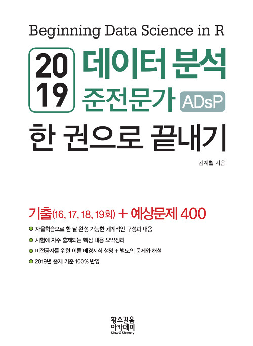 2019 데이터 분석 준전문가 ADsP 한 권으로 끝내기