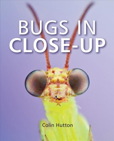 Bugs in Close-up (Paperback)