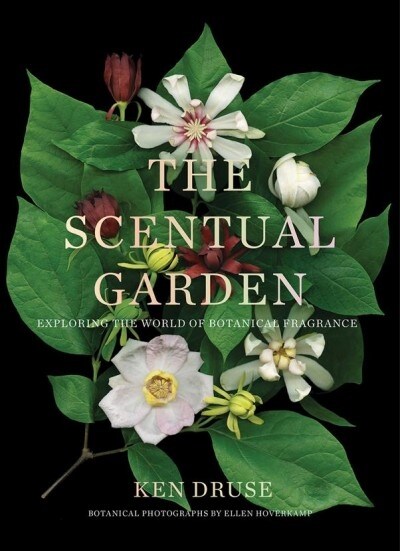 The Scentual Garden: Exploring the World of Botanical Fragrance (Hardcover)