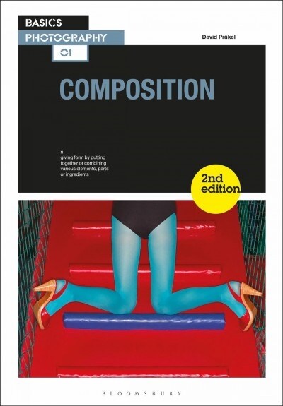 Composition (Paperback, 2 ed)