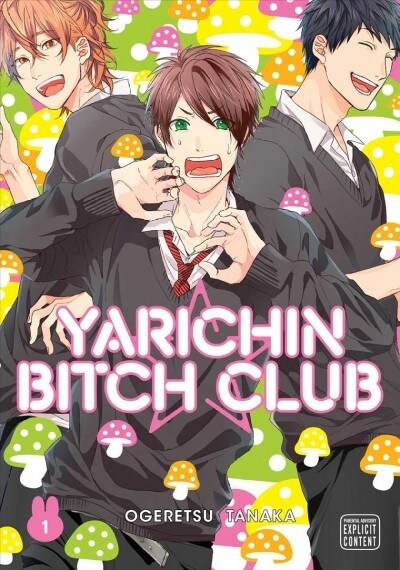 Yarichin Bitch Club, Vol. 1 (Paperback)