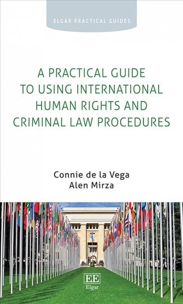 A Practical Guide to Using International Human Rights and Criminal Law Procedures (Paperback)
