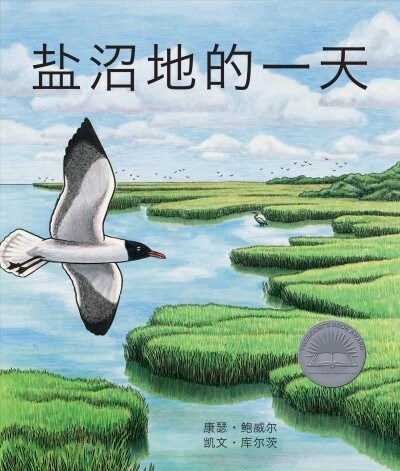 盐沼地的一天 (A Day in the Salt Marsh) [chinese Edition] (Paperback)