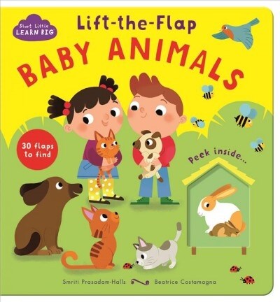 Lift-The-Flap Baby Animals (Board Books)