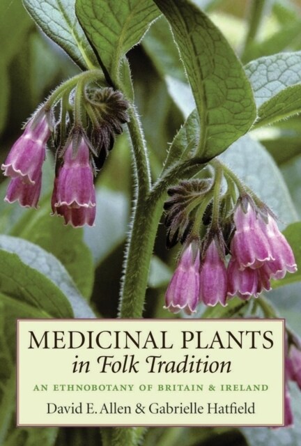 Medicinal Plants in Folk Tradition (Paperback)